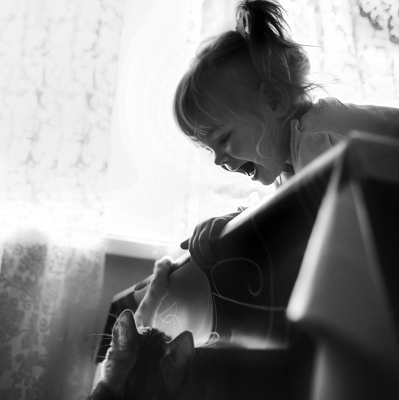 кошка, ребенок,дети, детская фотография photo preview