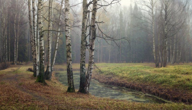 Осень, Павловск, Павловский парк, Пейзаж, Питер Ноябрь в Павловскеphoto preview