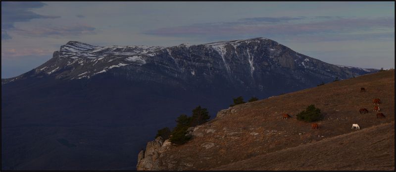 Лошадкиphoto preview