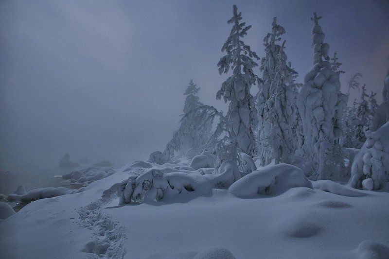 ...в Лунном сиянииphoto preview