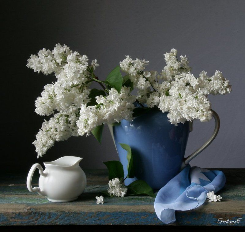 Белая сирень, Натюрморт, Сирень, Фотонатюрморт photo preview