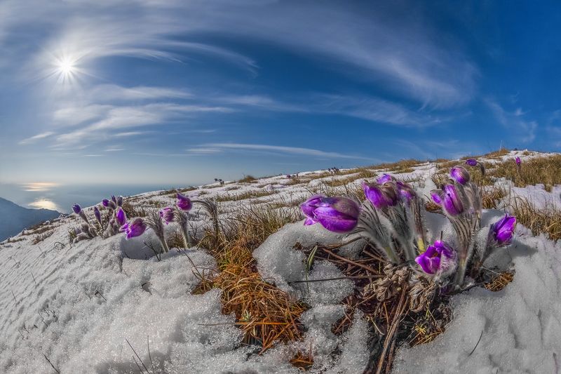 Крым Под южным солнцем.photo preview