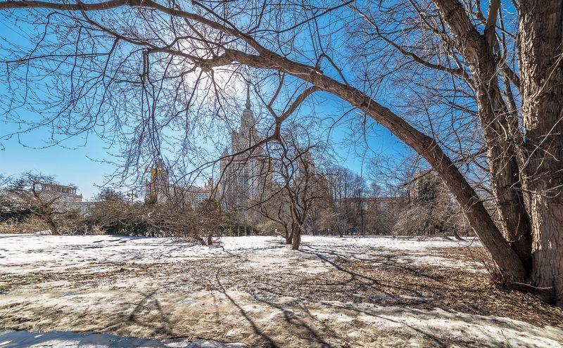 мгу Весенний солнечный денекphoto preview