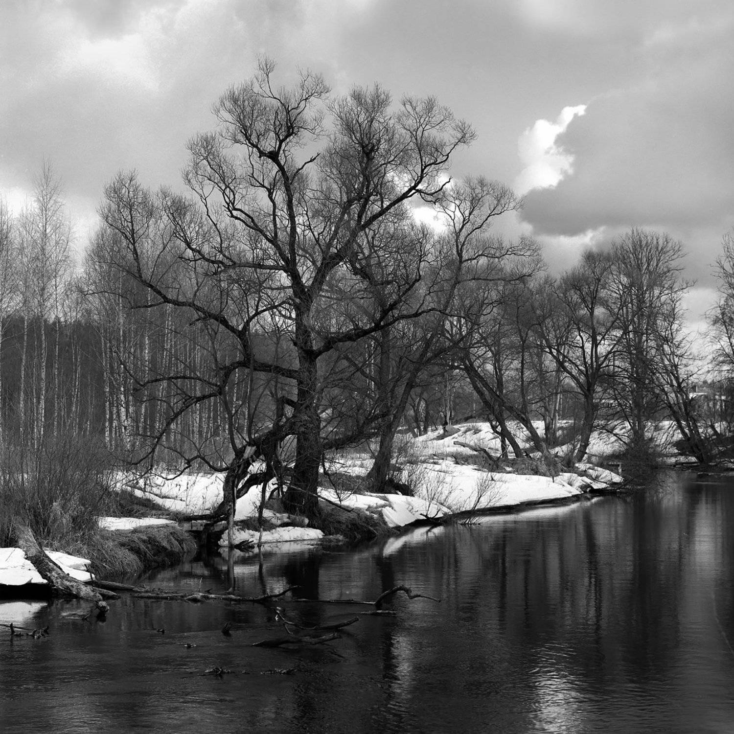 "Весенний день на Истре". Автор: Александр Резников Весна., Пейзаж., Река., Александр Резников