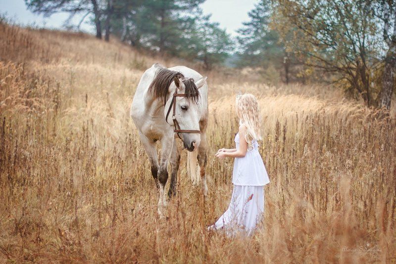 лошадь девочка поле ---photo preview