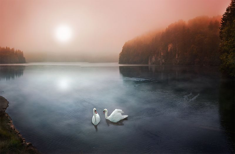 Лебединое озероphoto preview