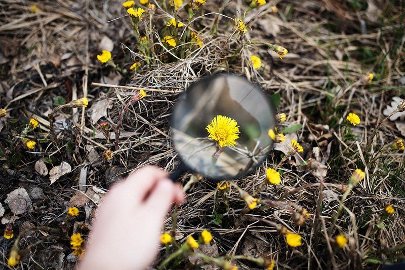 Пробуждениеphoto preview