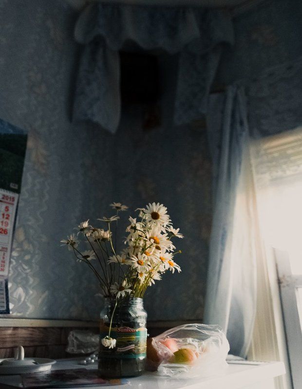 Ромашкиphoto preview