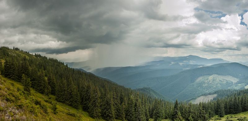 Карпаты горы лес ***photo preview