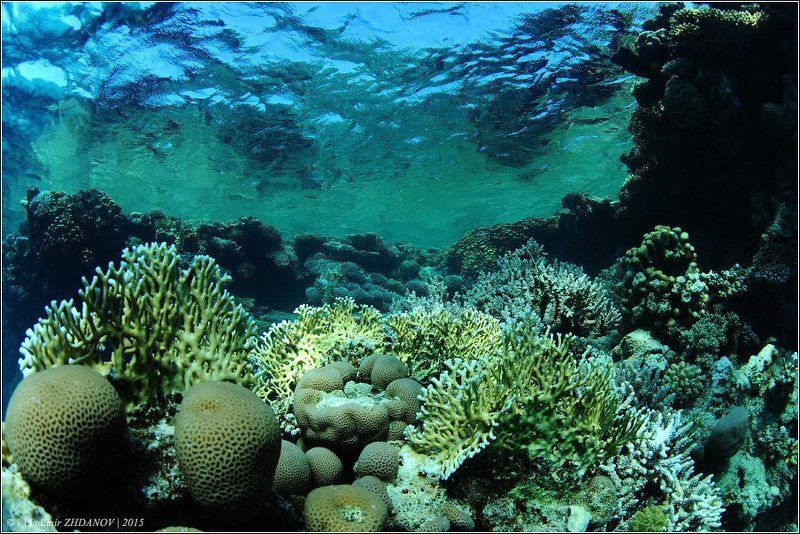 Взглядphoto preview