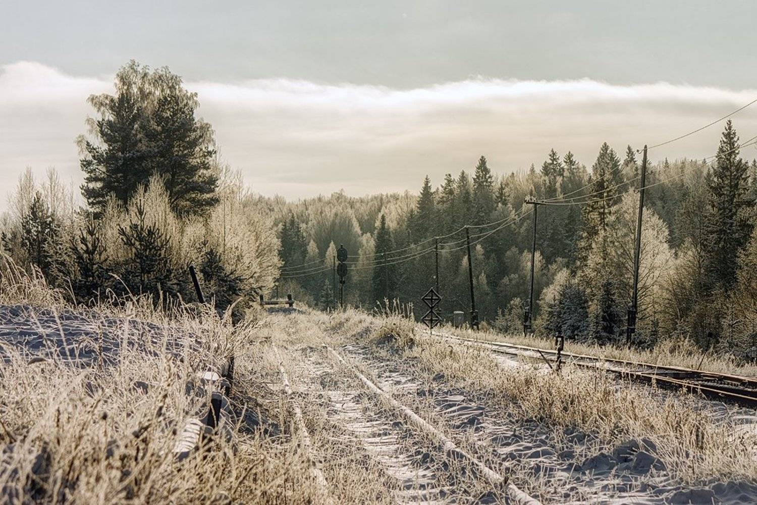 железная дорога, зима, мороз, солнце, баталино, тверская область, Денис Доронин