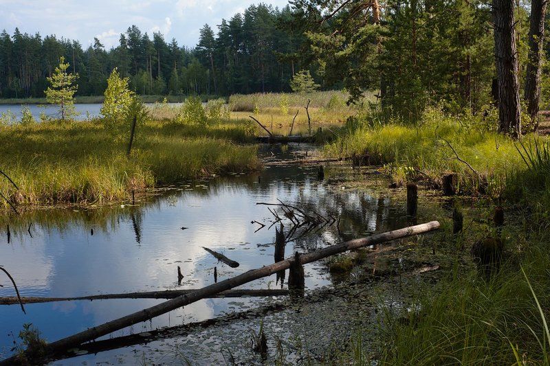 московская область, мещёрская провинция, пейзажи московской области, фотоальбом \\\