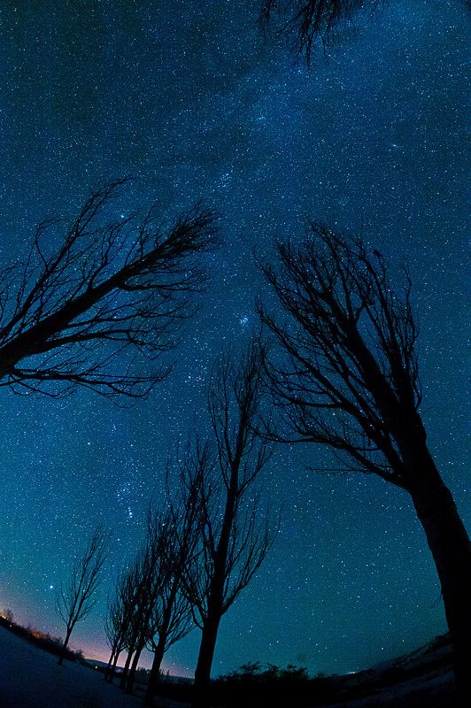 Страшные сны Иссык-Куляphoto preview