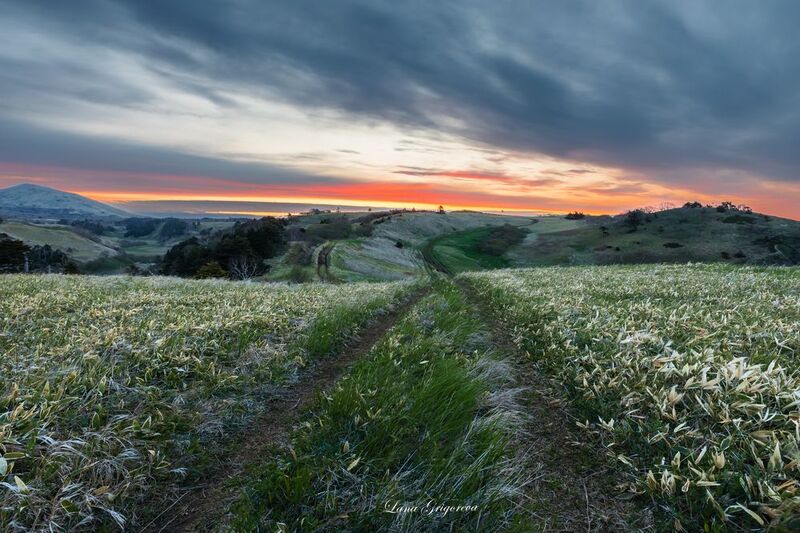 пейзаж, рассвет, курилы, 2025, лето, дороги, photo preview
