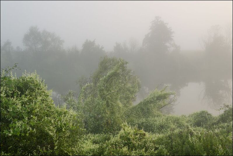 Туманное утро на Упеphoto preview