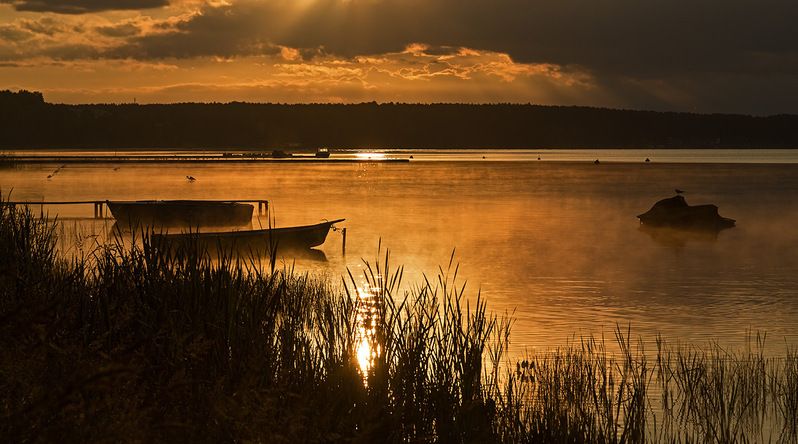 озеро, нарочь, цапля, лето, утро Утро на озере фото превью