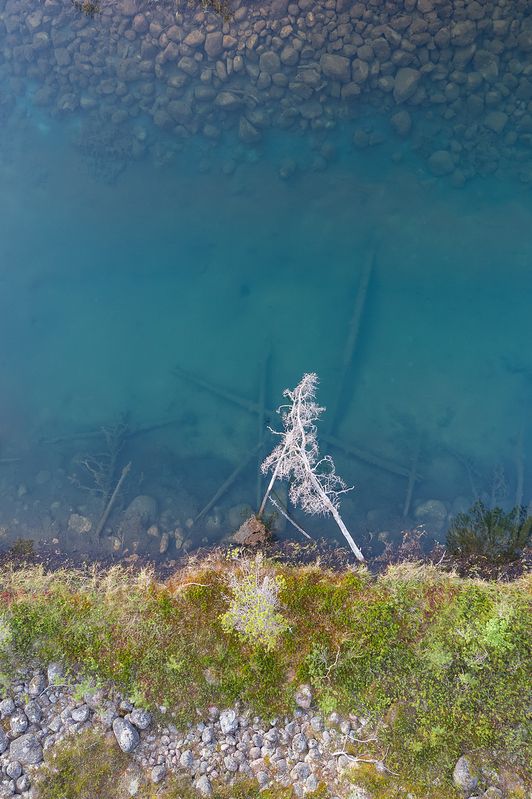 озовая гряда, тайга, ладожские шхеры, карелия, ладога, северное приладожье, сортавала, питкяранта, русский север, северная природа, северный пейзаж, пейзажи карелии, природа карелии, фототуры по карелии, фототуры по ладоге, фототур на ладожские шхеры Каменное небоphoto preview