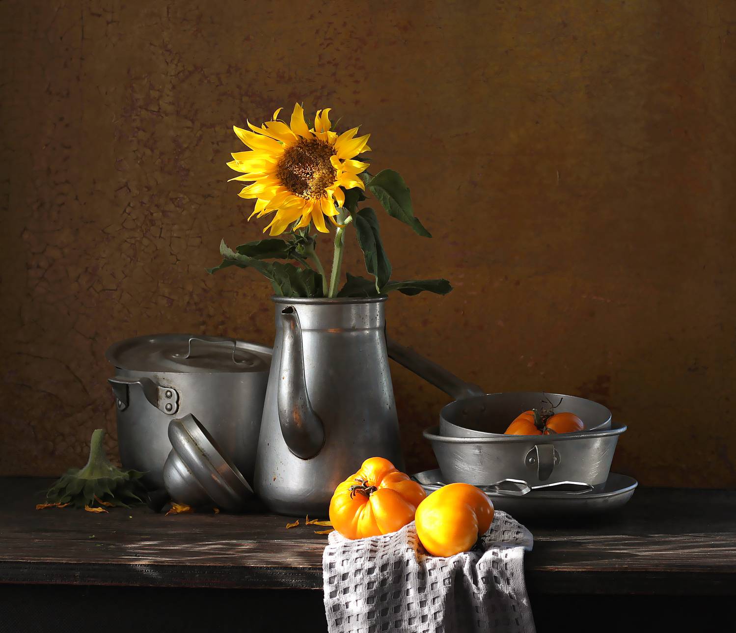 , Наталья Казанцева