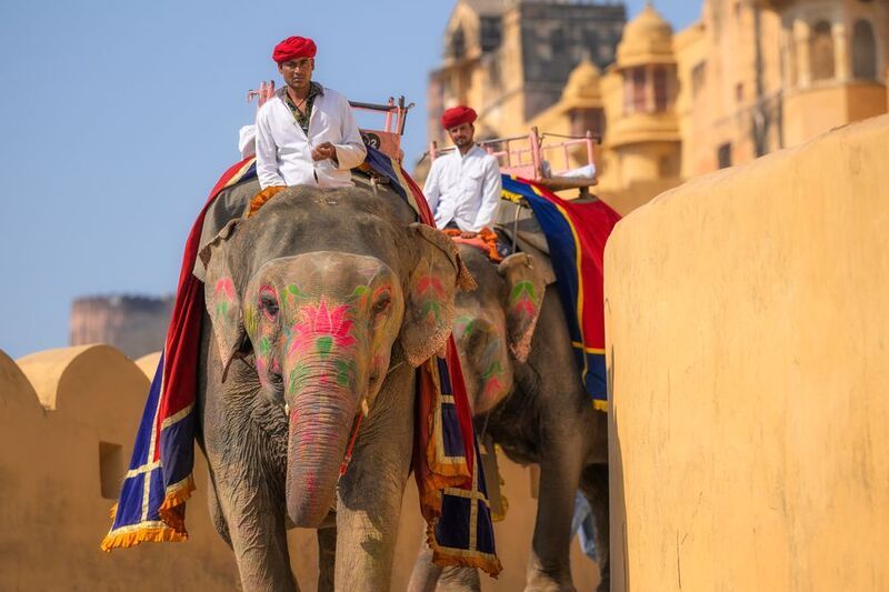 индия, стрит, india, слоны photo preview