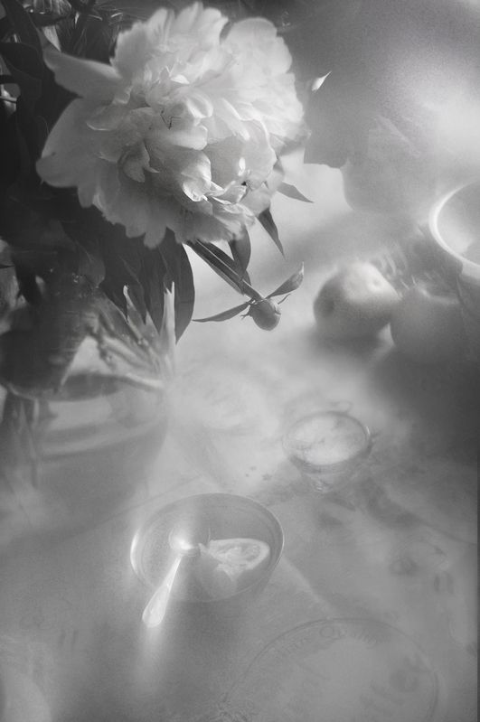 чёрно-белое, лето, пион, цветы, настроение, монохром, still life, black and white, summer spirit  Заря июньского пионаphoto preview