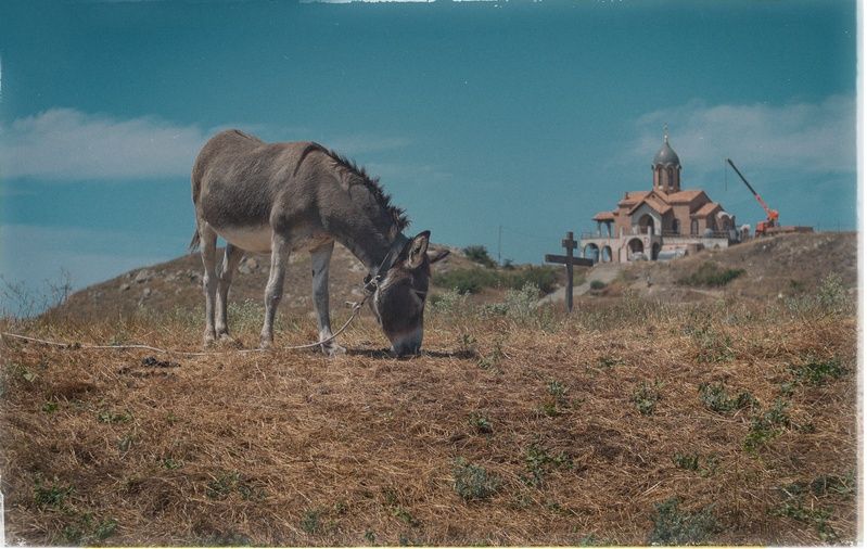 пейзаж, природа, деревня, село, вид, церковь, храм, ишак, животные, архитектура, лето, крымское лето, атмосфера, красота, небо, пастбище, винтажная оптика, мануальное, юпитер-3, керчь, крым, россия Сцена из сельского лета.photo preview