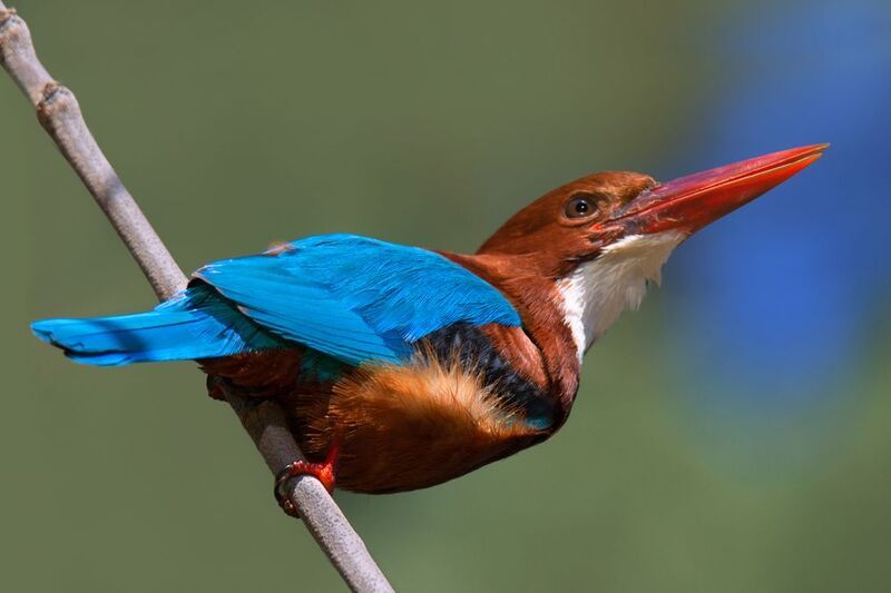 *Когда-то мы часто встречались...photo preview