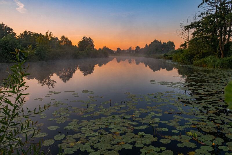 лето озеро рассвет природа пейзаж Утром.photo preview