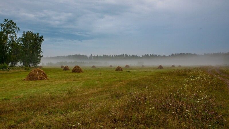 покос, утро, туман, стога, сено, луг Тихое утроphoto preview