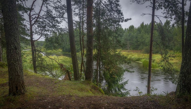 Речка Волчинаphoto preview