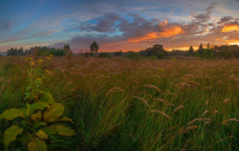 поле, рассвет , облака photo preview