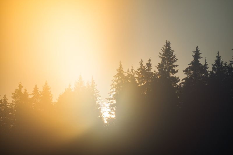 пермский край, пейзаж, рассвет, красота природы, поле, лето, река, природа, дикая природа, койва, лес, усть-койва Утро на Койве фото превью