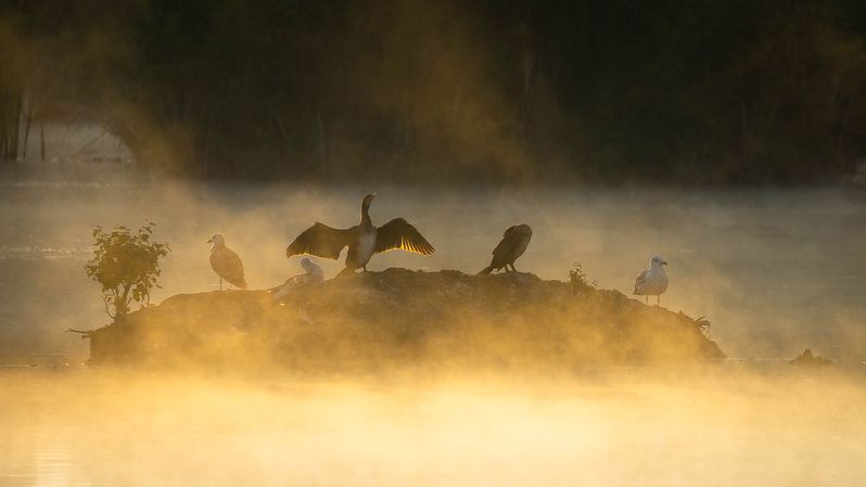 Утроphoto preview