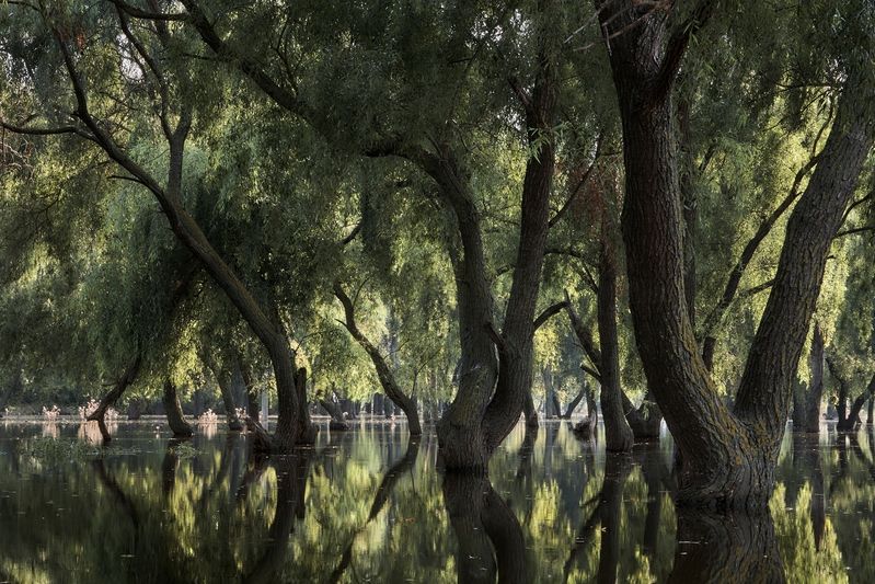 Наводнениеphoto preview