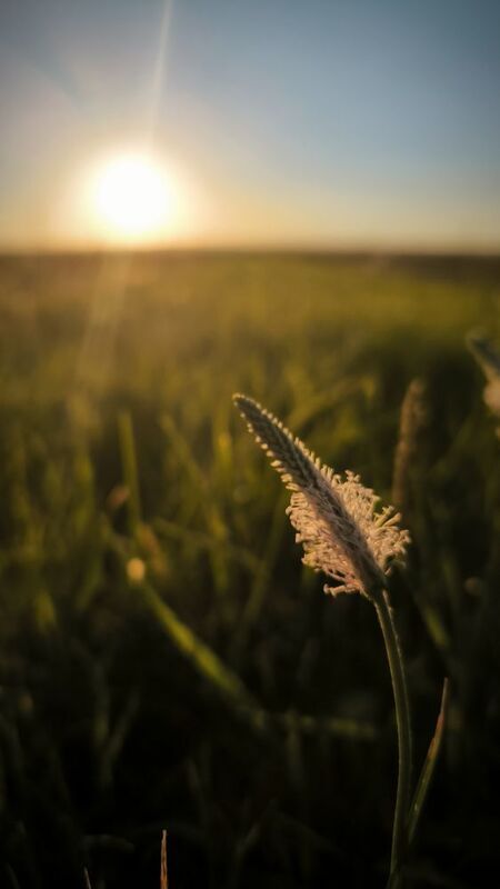 закат пейзаж Закатphoto preview