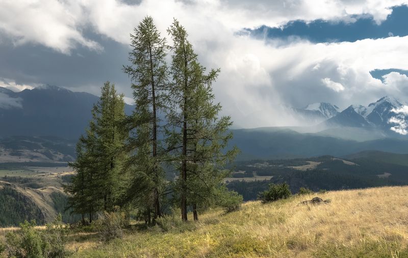 алтай, лиственница, небо, грозовое небо, лето, туча, северо-чуйский хребет Снеговая тучаphoto preview
