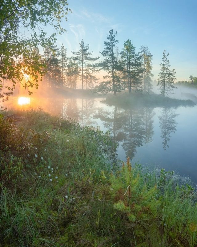 Солнце и туман июняphoto preview