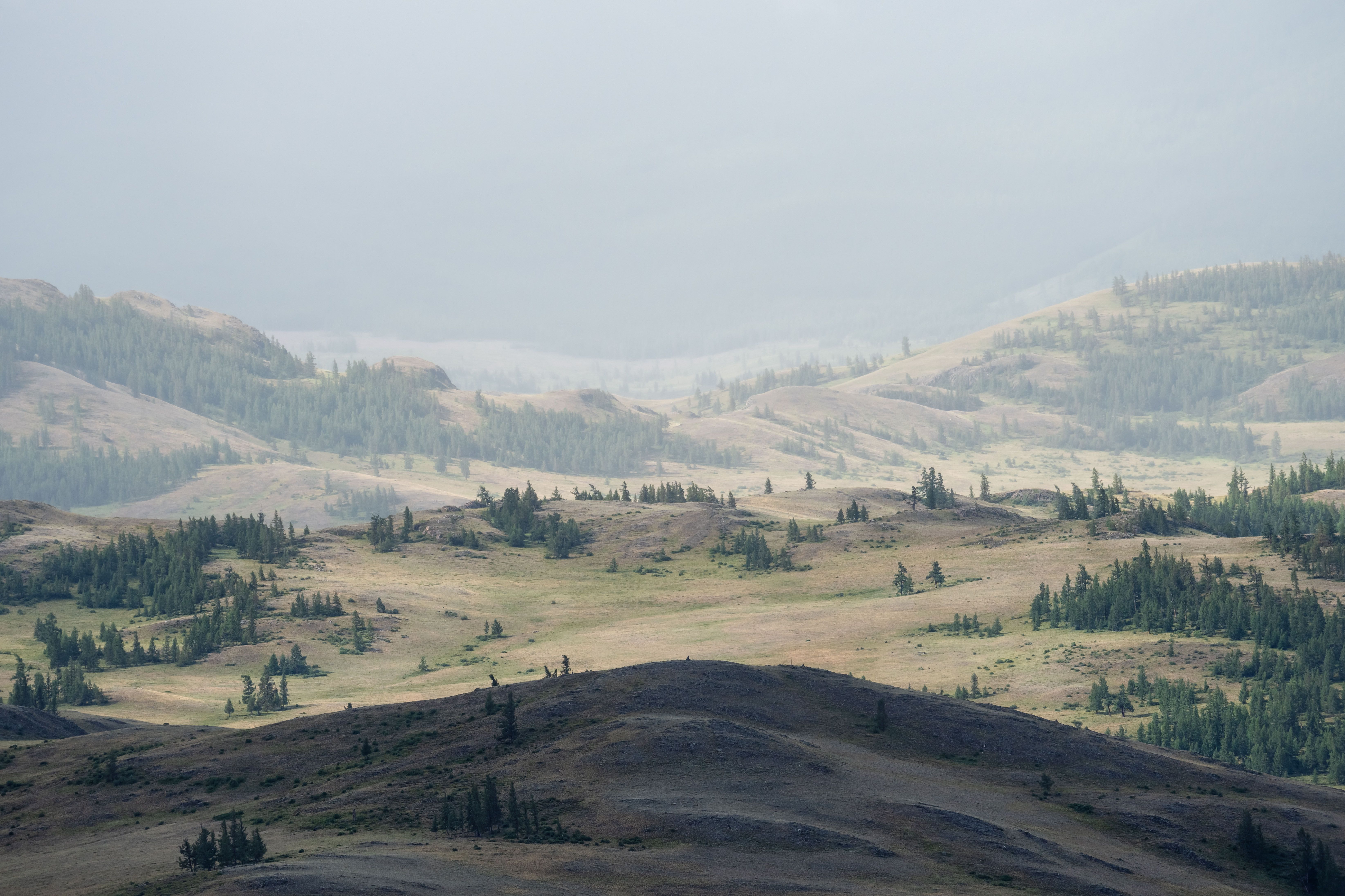 Курайские этюды… Kurai etudes...photo preview