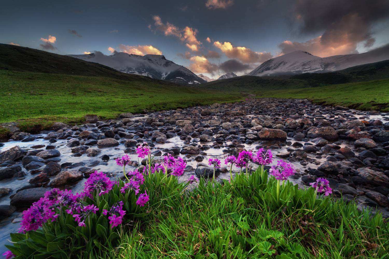 , Ольга Кулакова