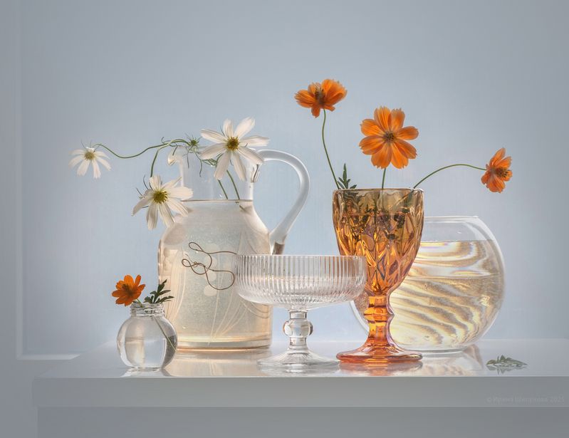 Космеяphoto preview