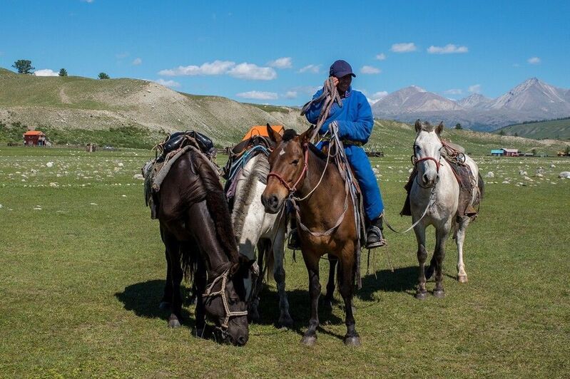 монголия, лошади, горы, пастух Пастух Панса и его свитаphoto preview