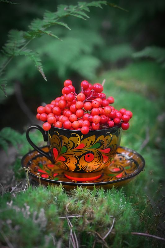 Лесной уголокphoto preview