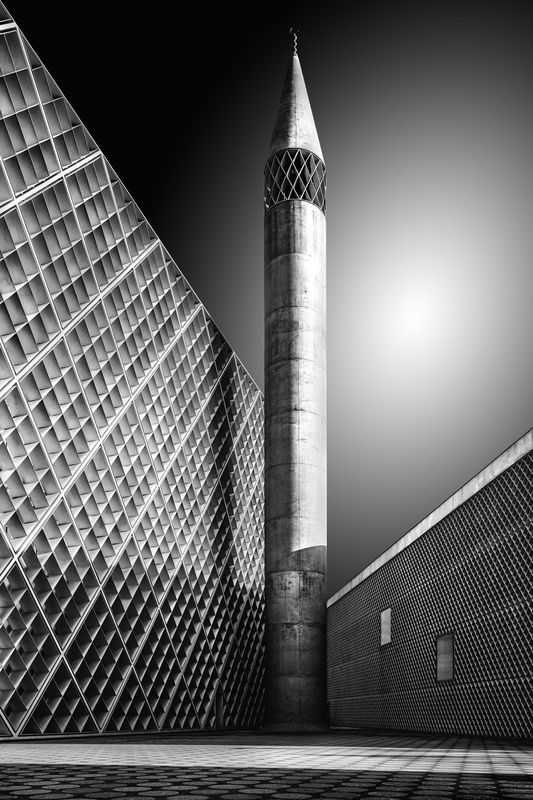 Silent Sentinelphoto preview