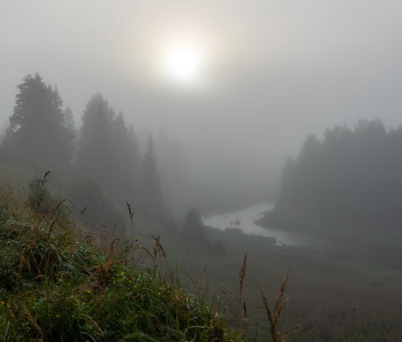 деревня,  русский север, рассвет, туман, природа, утро Августовское утро фото превью