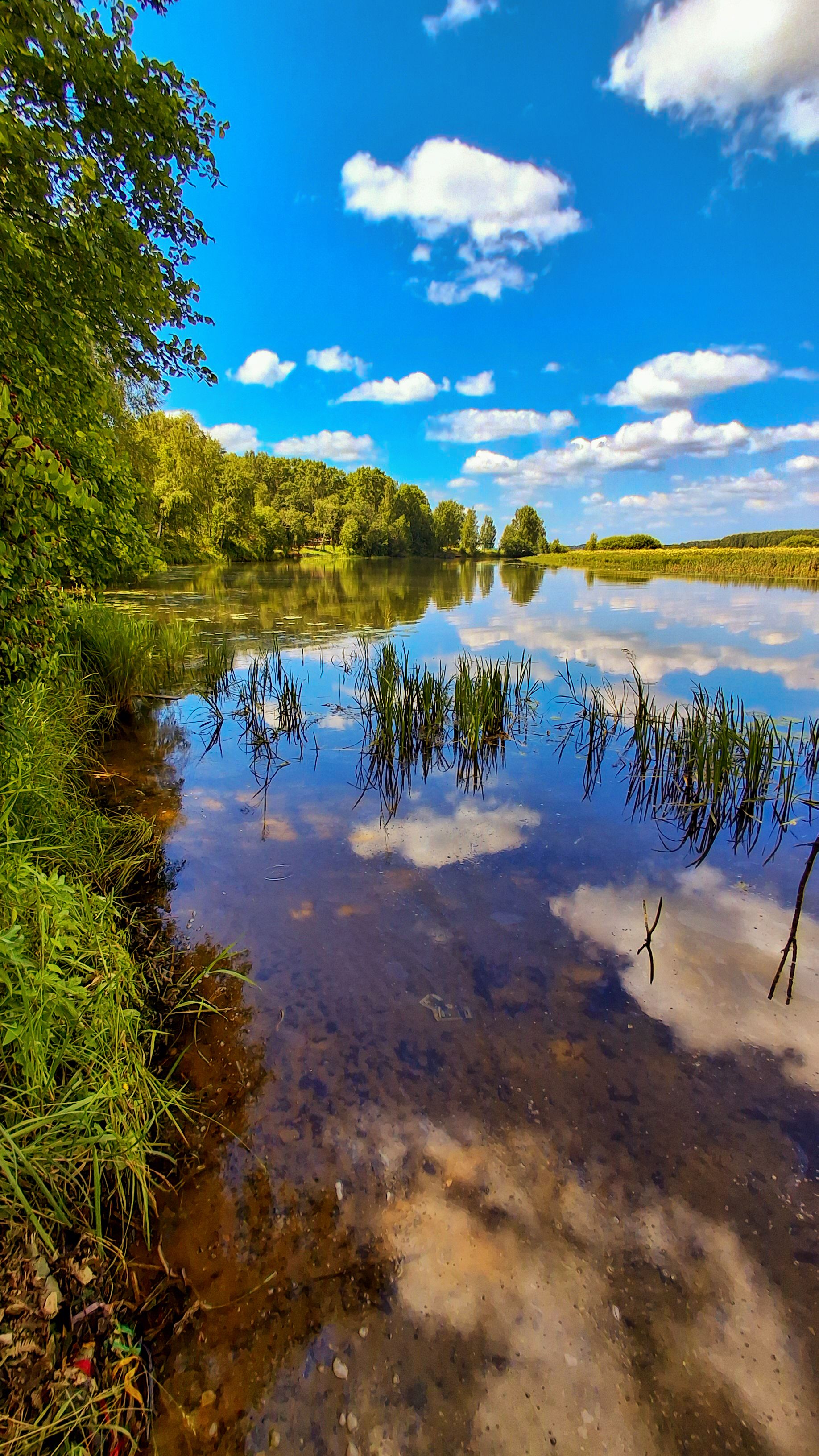 Костромской край: на водеphoto preview