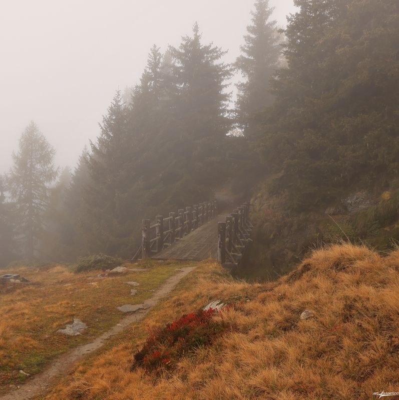 swiss Дороги... фото превью