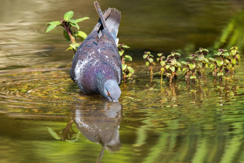 *Жарко, жарко... очень жарко...photo preview