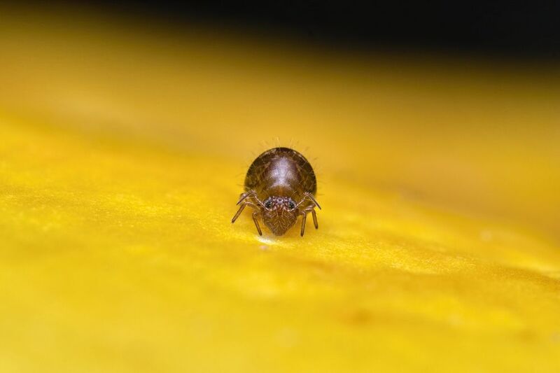 Lonely alone in the midst of lonelinessphoto preview