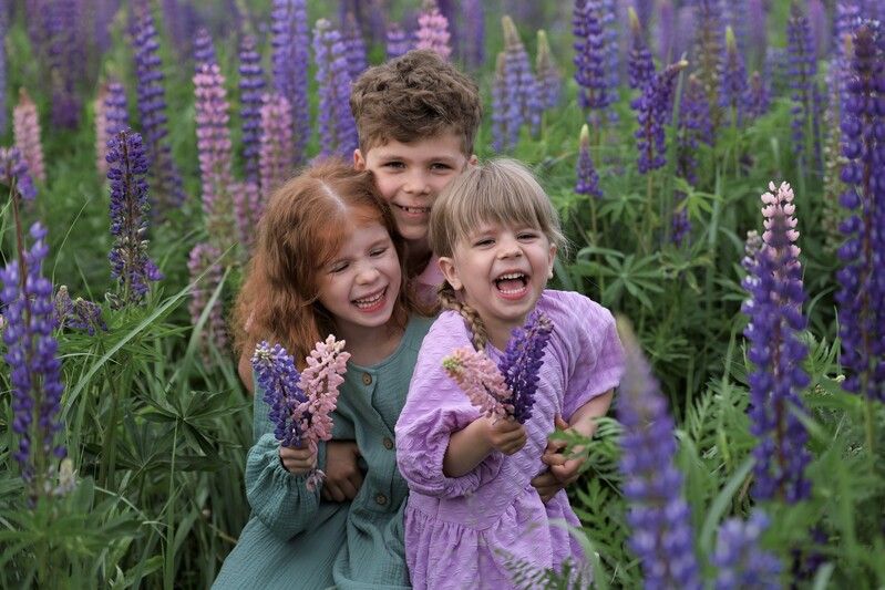 Дети, смех, люпины, лето, июль, сестры, брат Хохотушки фото превью