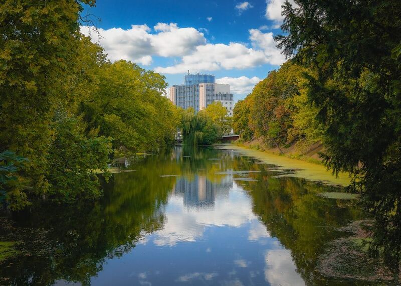 reflectionphoto preview