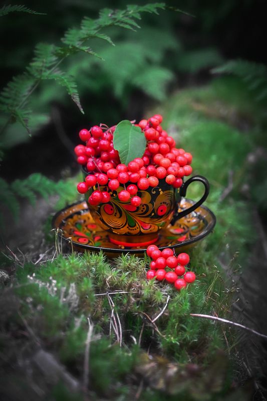 Витаминыphoto preview